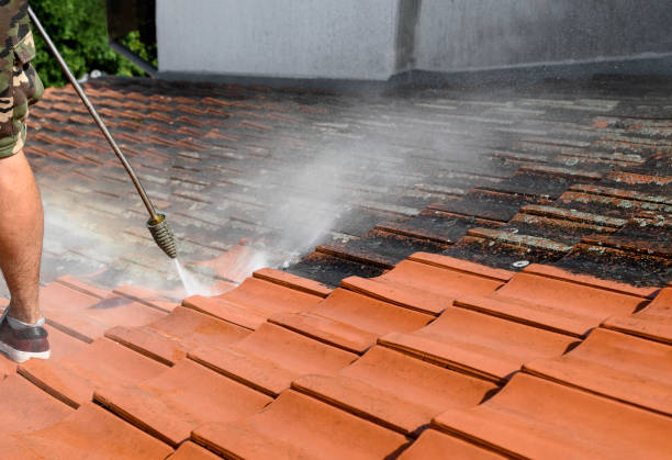 Best Residential Pressure Washing Services  in Chester Gap, VA