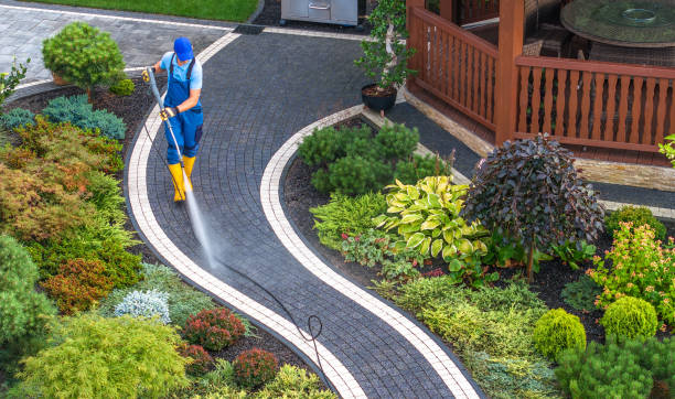 Best Residential Pressure Washing Services  in Chester Gap, VA